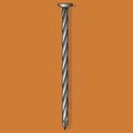 Duchesne Common Nail, 2 in L, Hot Dipped Galvanized Finish 20621366